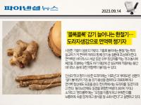 `콜록콜록` 감기 늘어나는 환절기…도라지·생강으로 면역력 챙기자