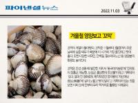 겨울철 영양보고 ‘꼬막’