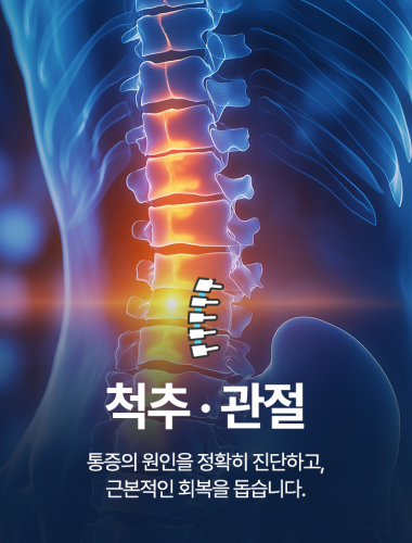 척추질환